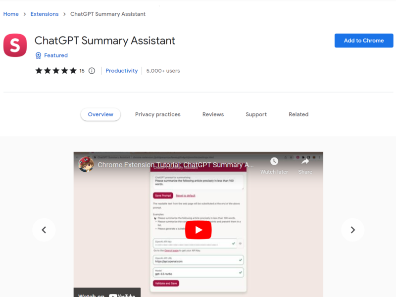 ChatGPT Summary Assistant